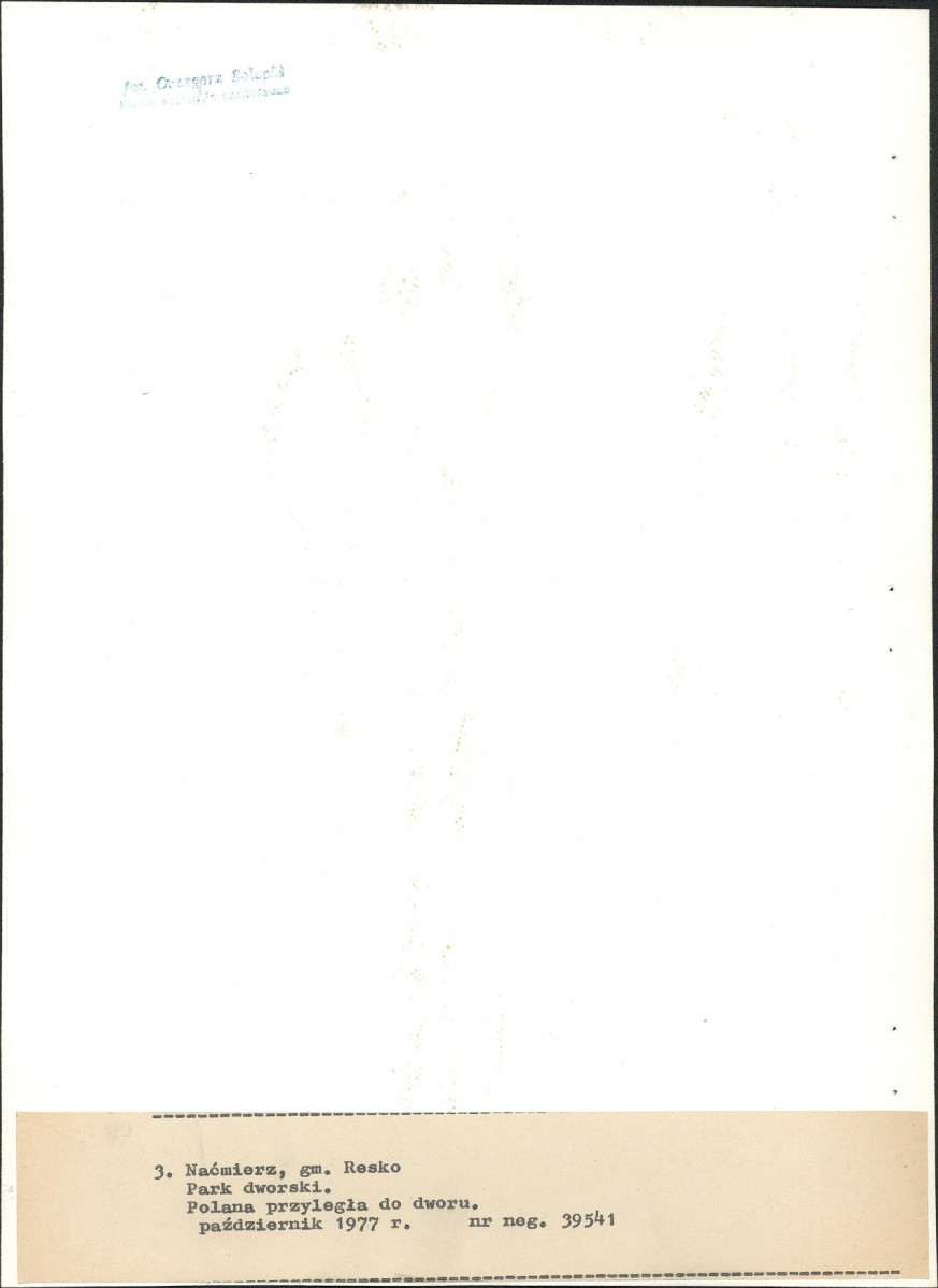 Ewidencja parkowa, skan nr 25