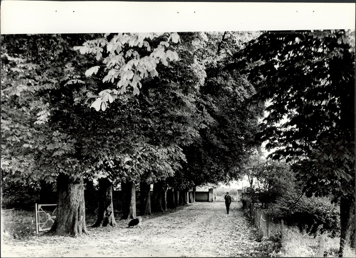 Ewidencja parkowa, skan nr 26