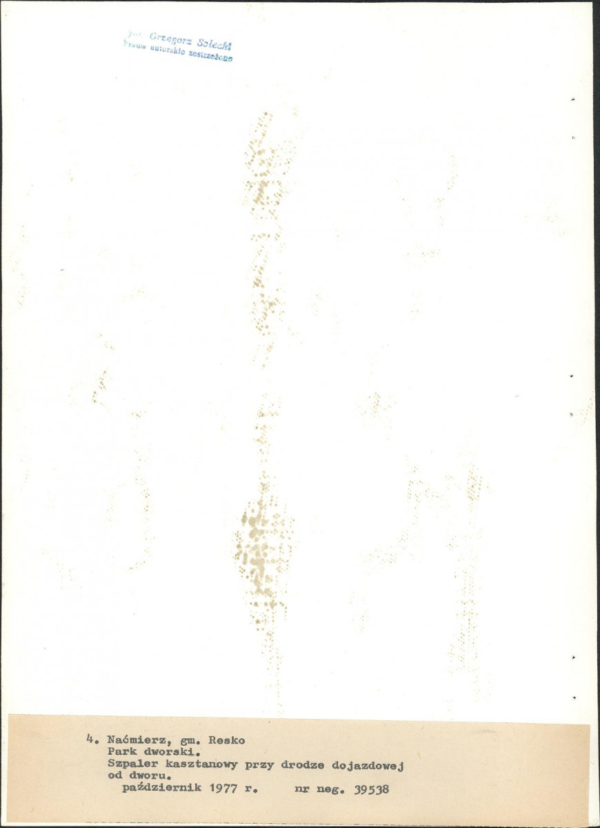 Ewidencja parkowa, skan nr 27