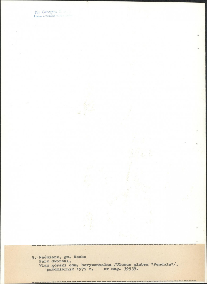 Ewidencja parkowa, skan nr 29