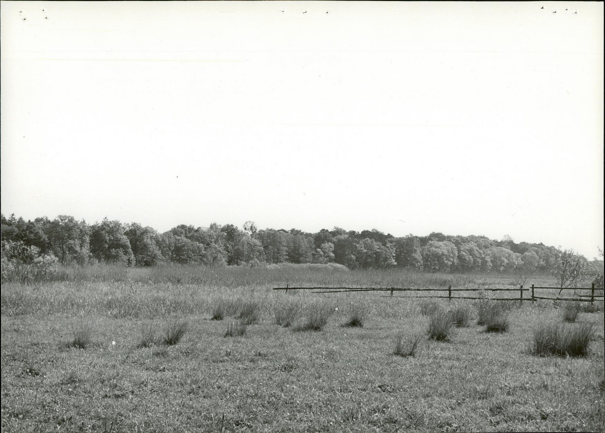 Ewidencja parkowa, skan nr 21