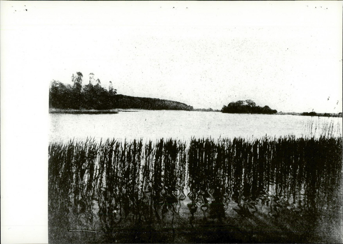 Ewidencja parkowa, skan nr 37