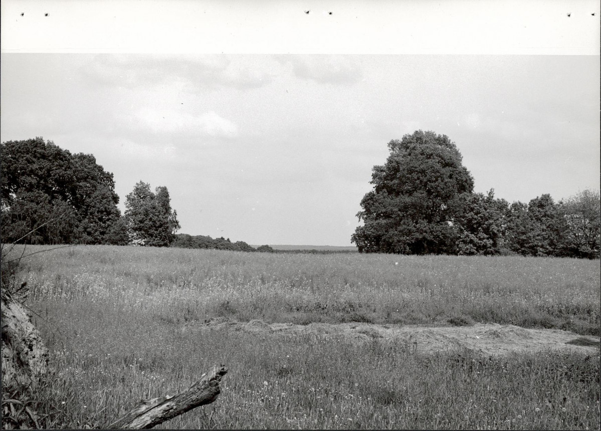Ewidencja parkowa, skan nr 22