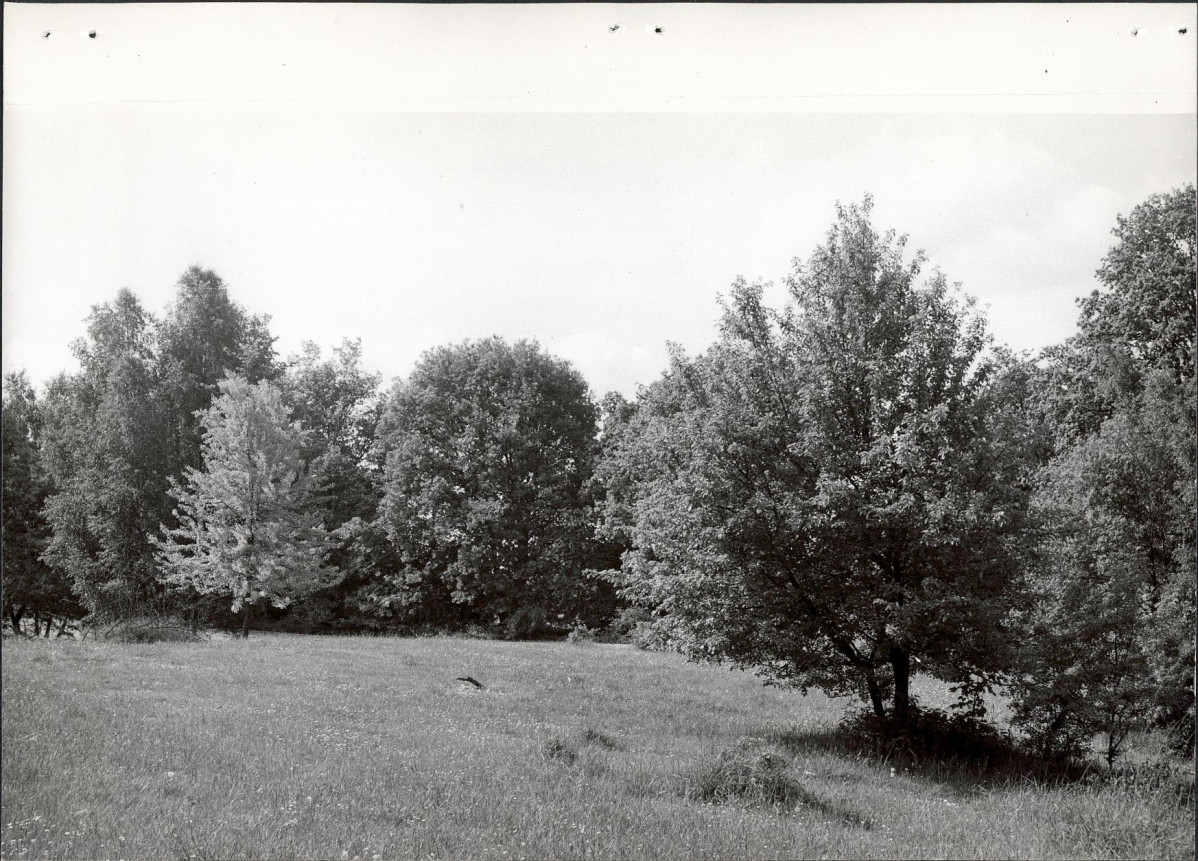 Ewidencja parkowa, skan nr 26