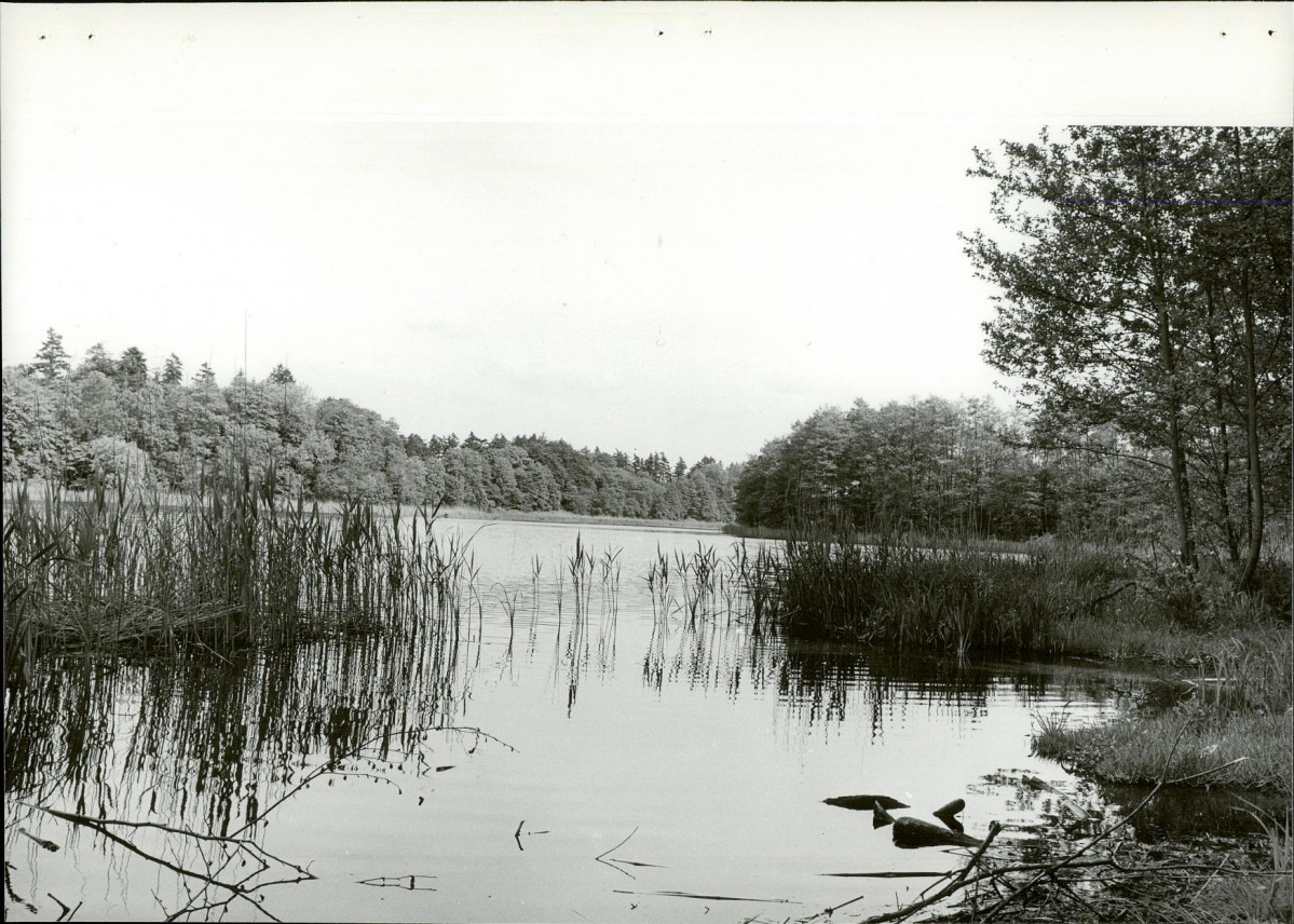 Ewidencja parkowa, skan nr 17