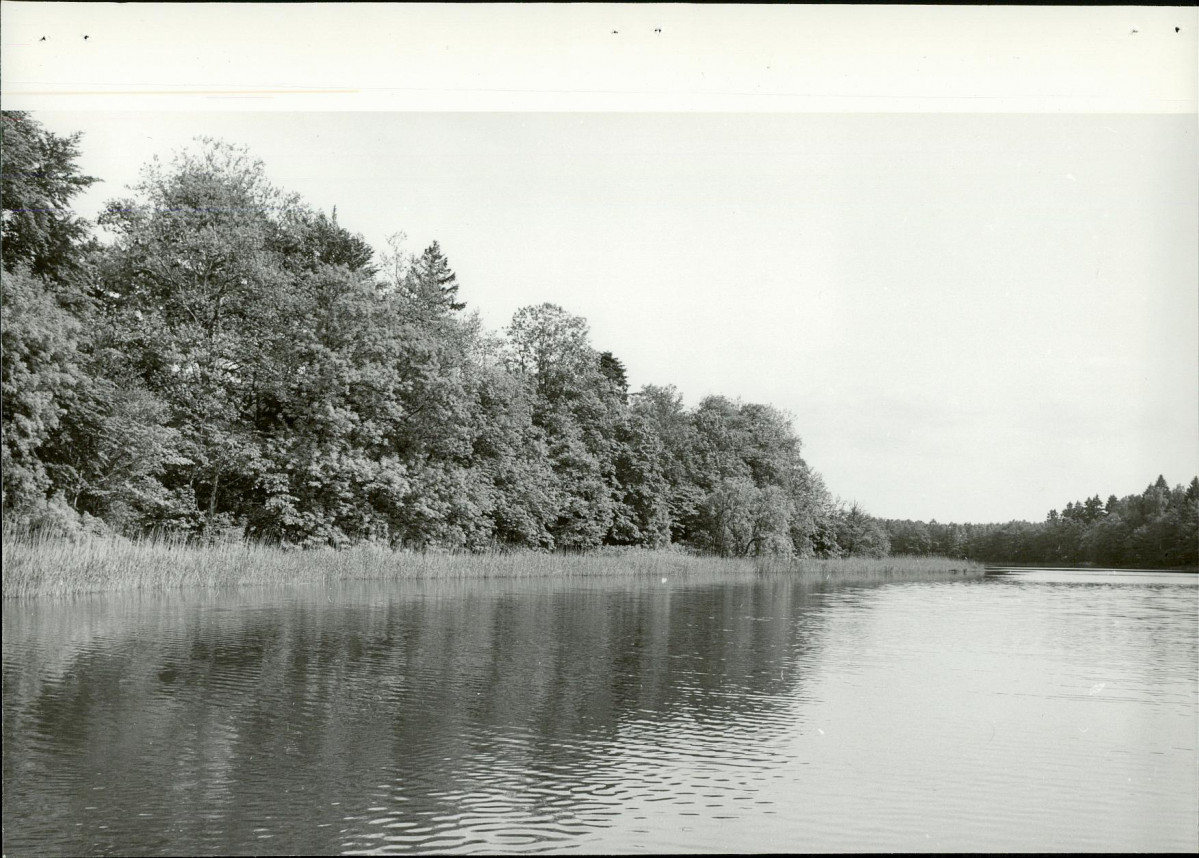Ewidencja parkowa, skan nr 19