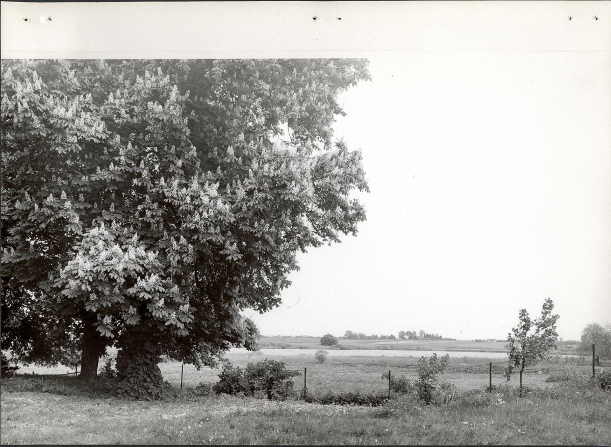 Ewidencja parkowa, skan nr 14