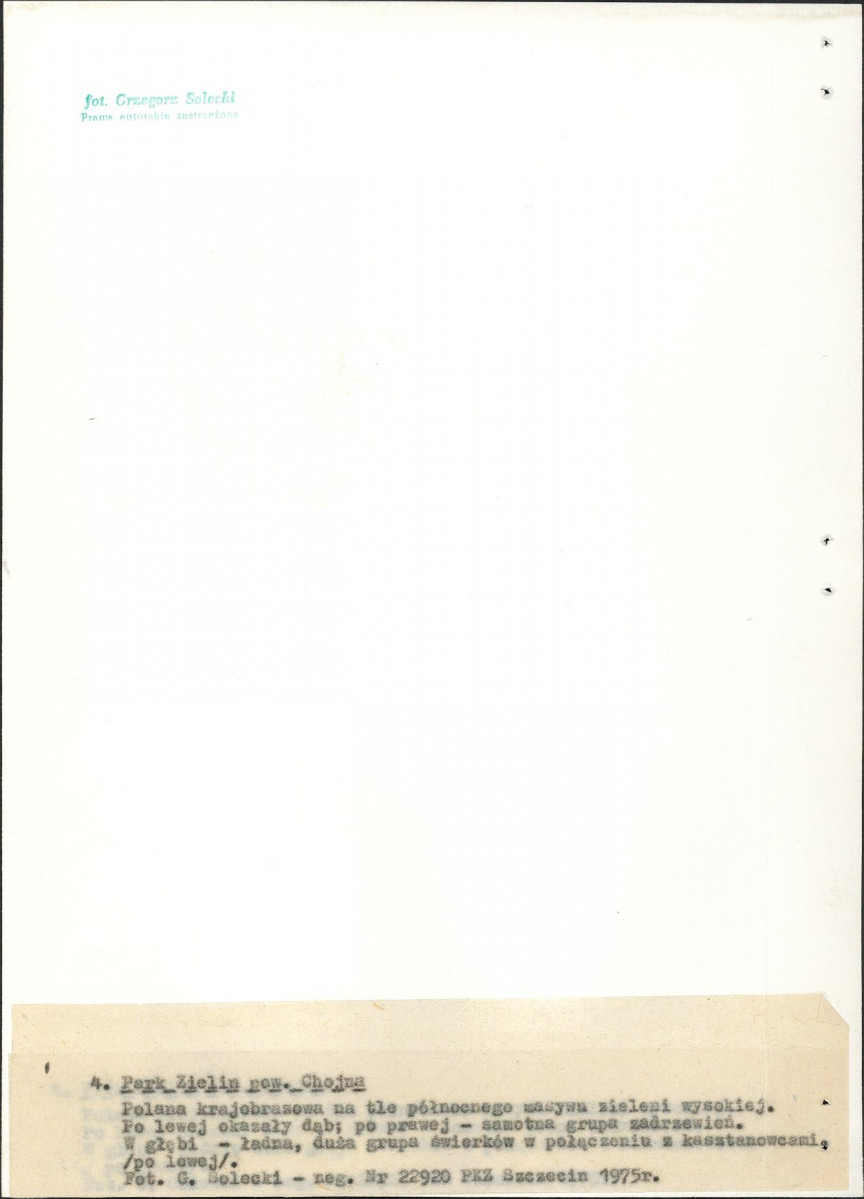 Ewidencja parkowa, skan nr 21