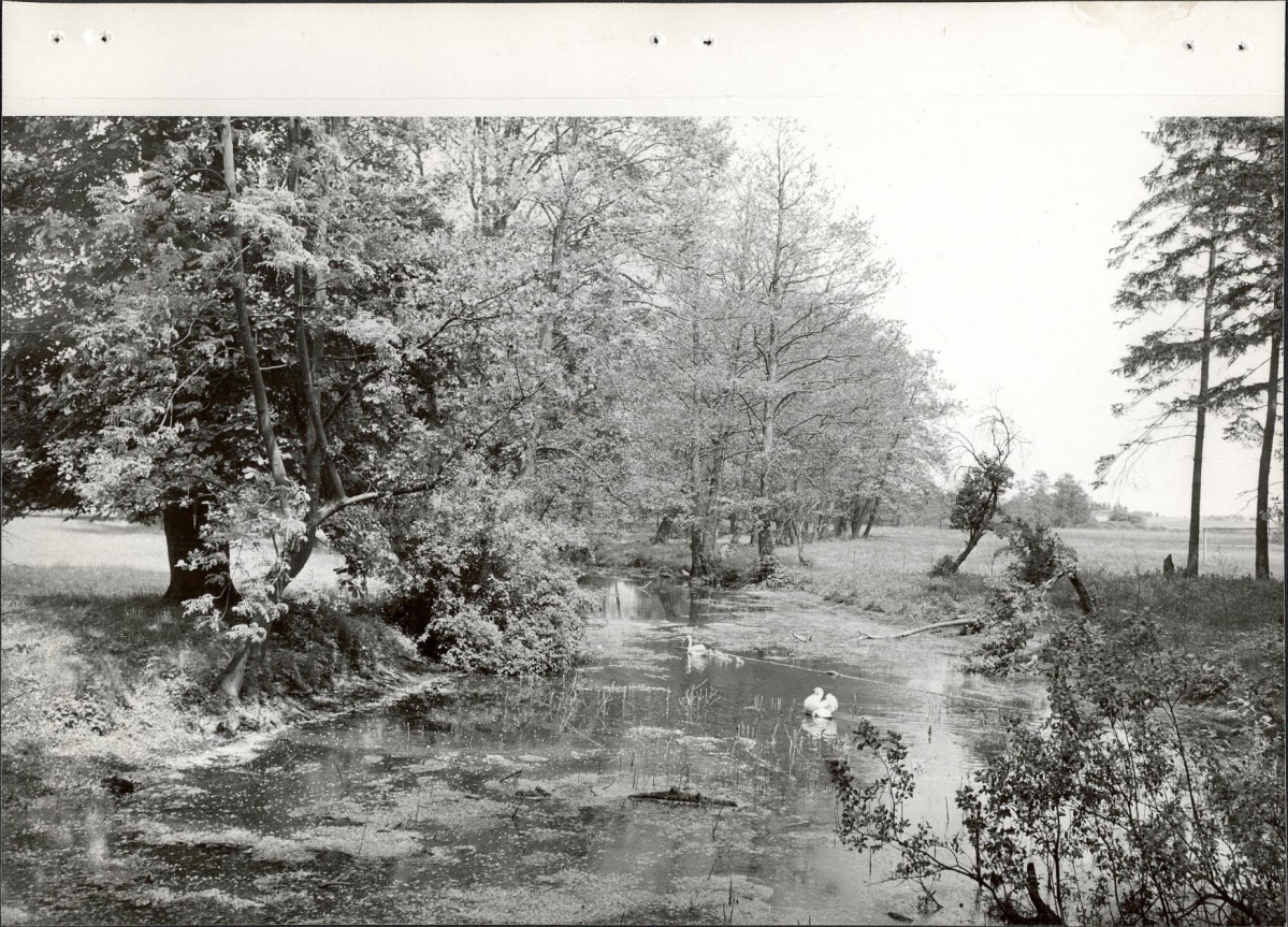 Ewidencja parkowa, skan nr 22