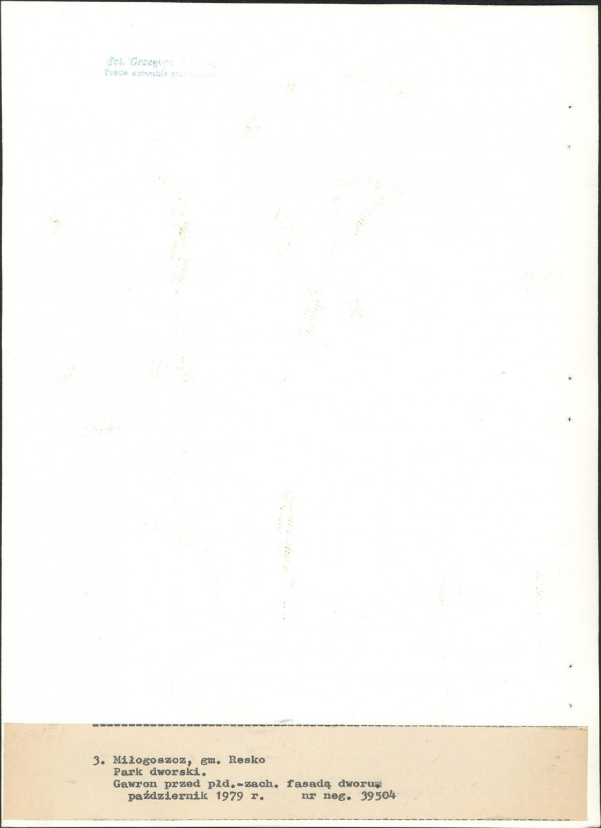 Ewidencja parkowa, skan nr 25