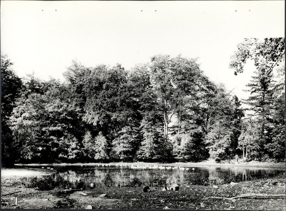 Ewidencja parkowa, skan nr 26