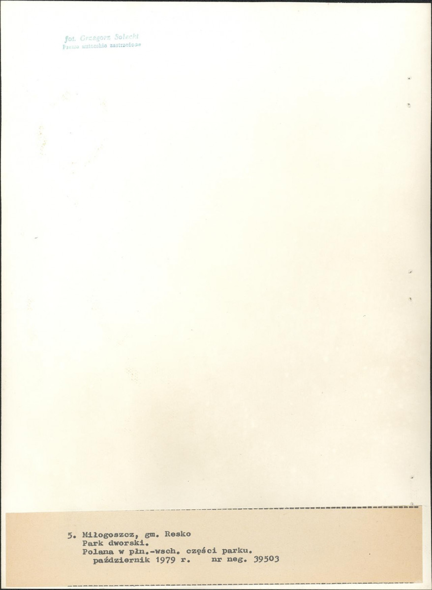 Ewidencja parkowa, skan nr 29