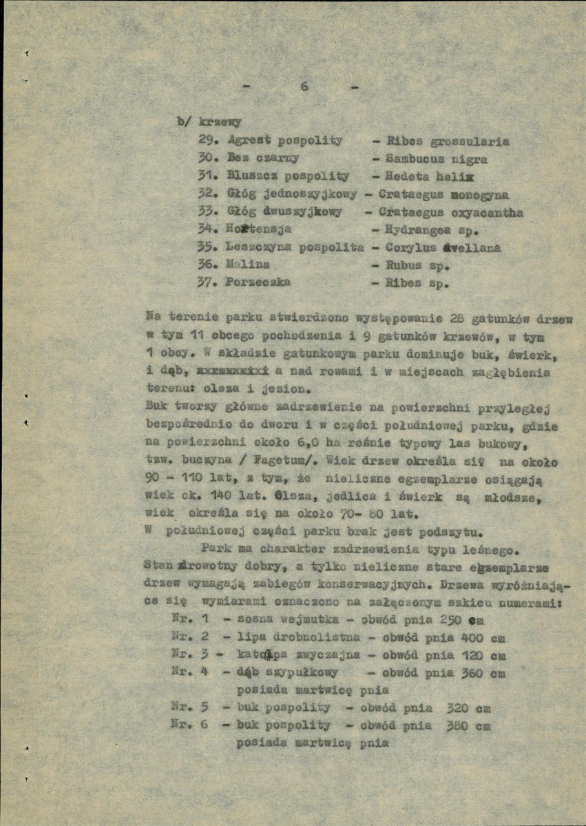 Ewidencja parkowa, skan nr 10