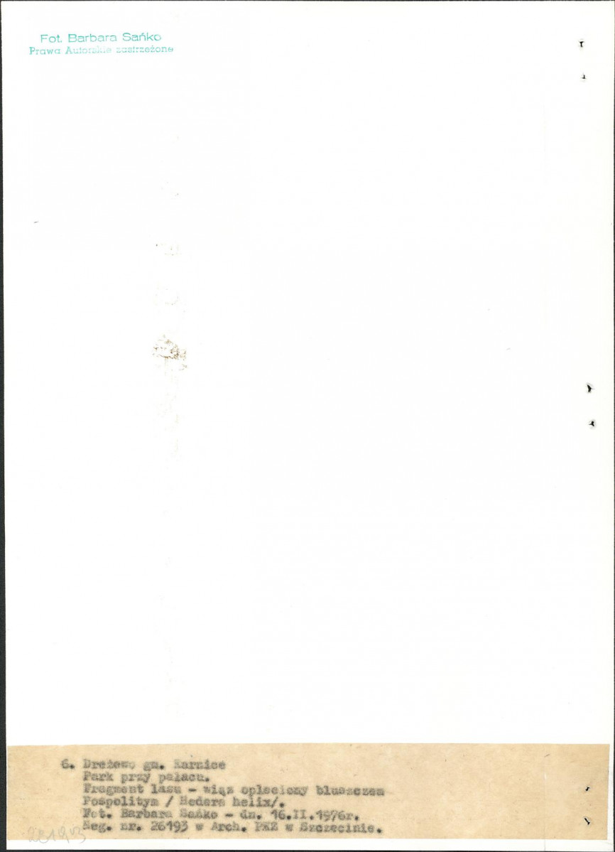 Ewidencja parkowa, skan nr 26