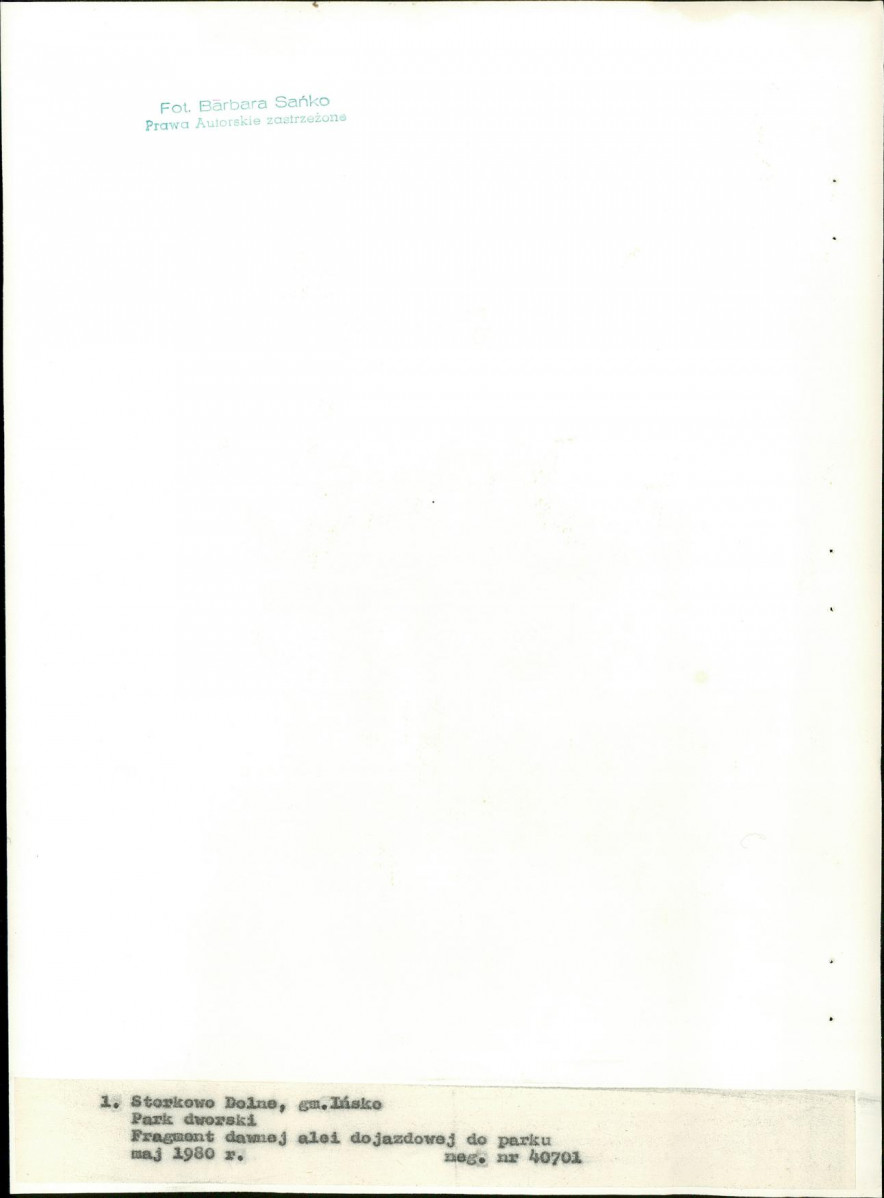 EP - Ewidencja parkowa, skan nr 18