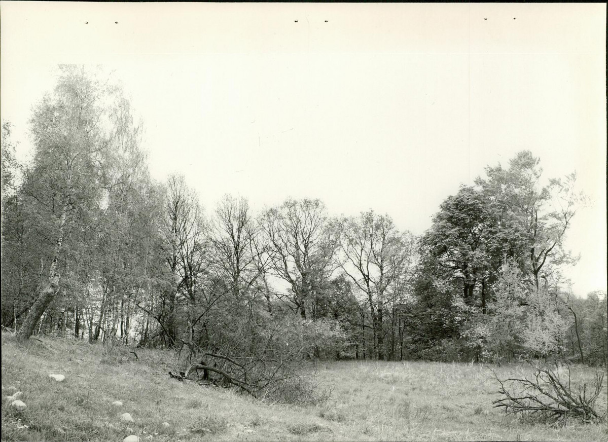 EP - Ewidencja parkowa, skan nr 21