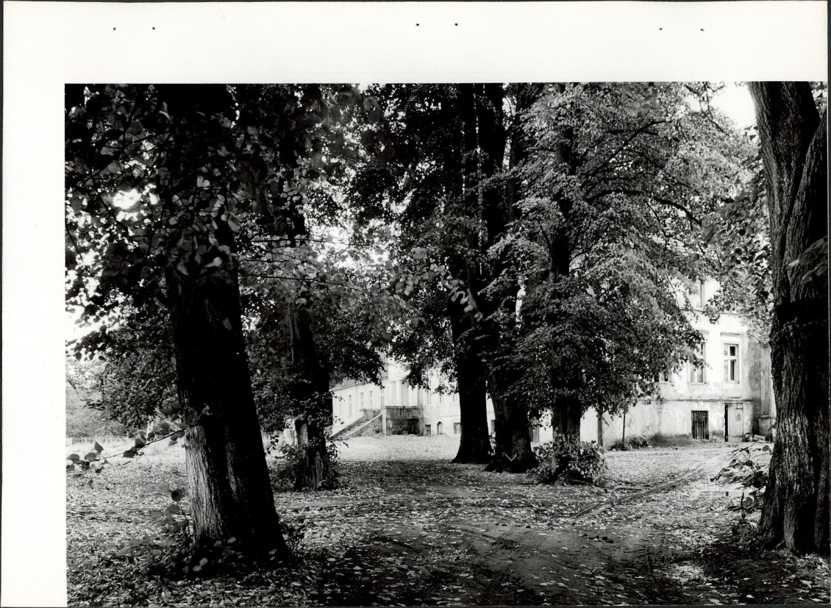 Ewidencja parkowa, skan nr 30