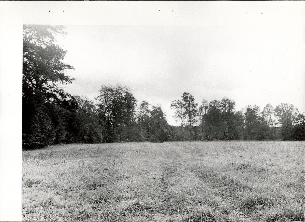 Ewidencja parkowa, skan nr 38