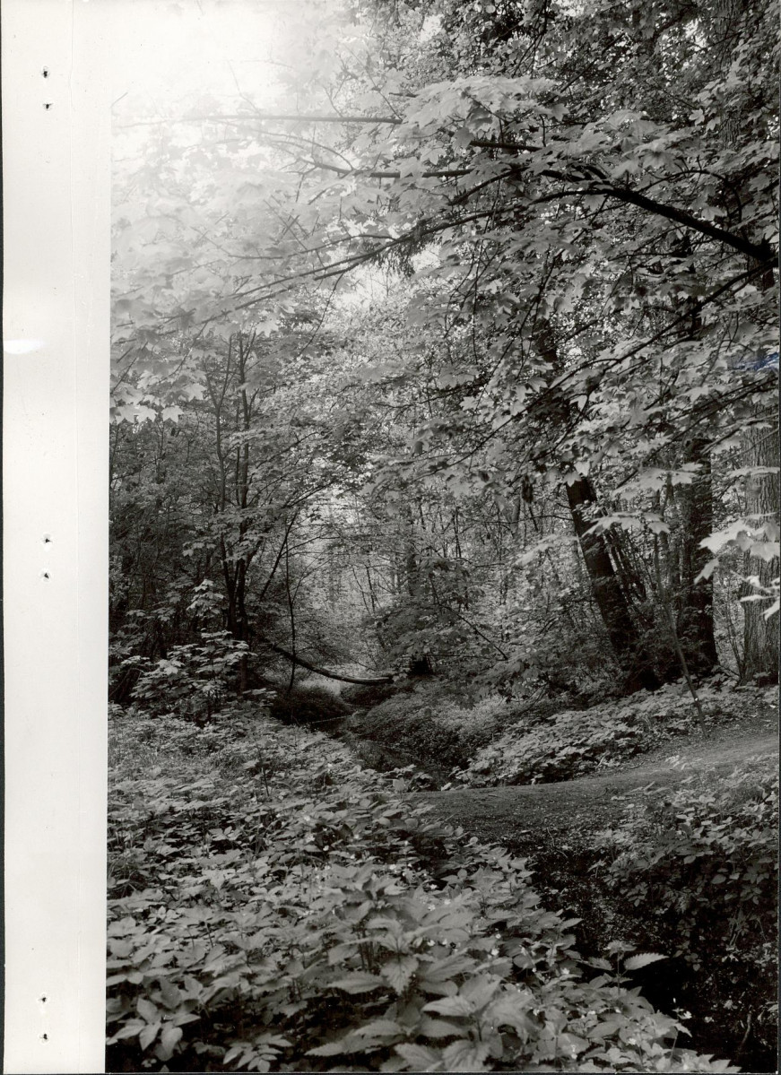 Ewidencja parkowa, skan nr 22