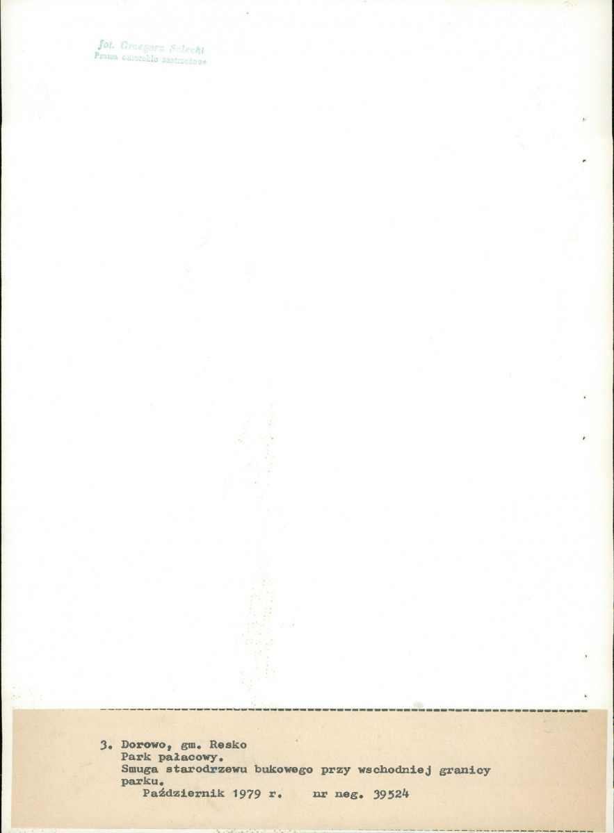 Ewidencja parkowa, skan nr 24
