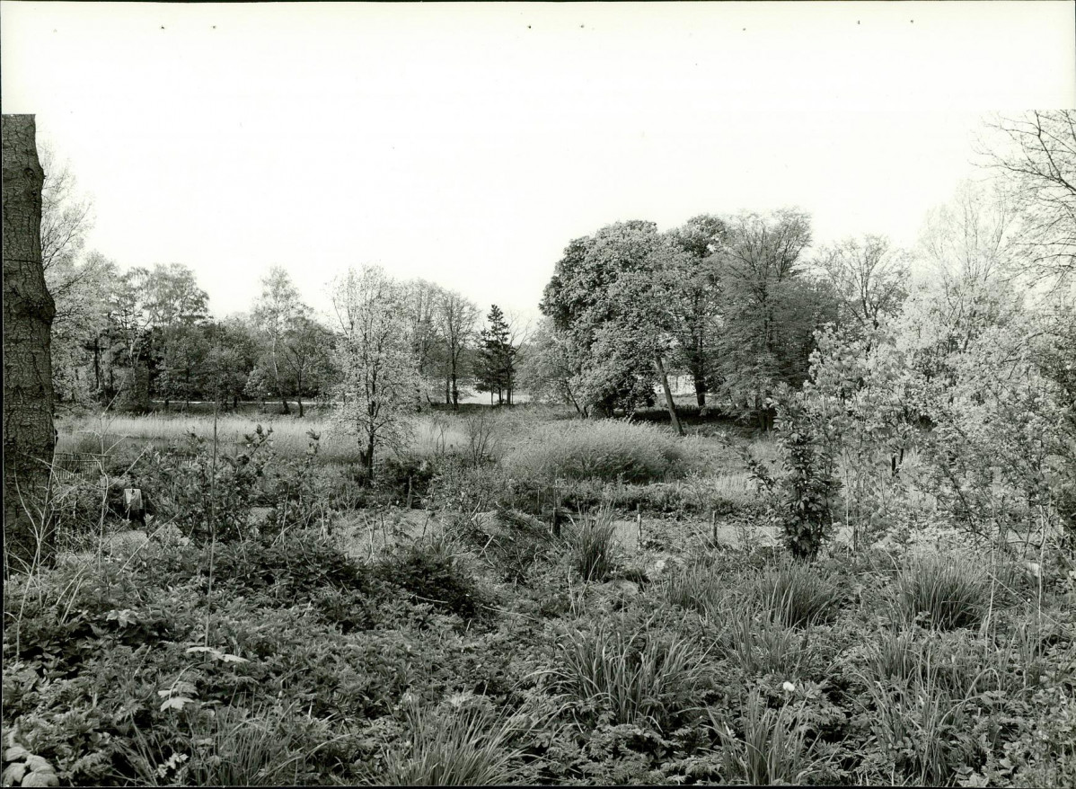 EP - Ewidencja parkowa, skan nr 23