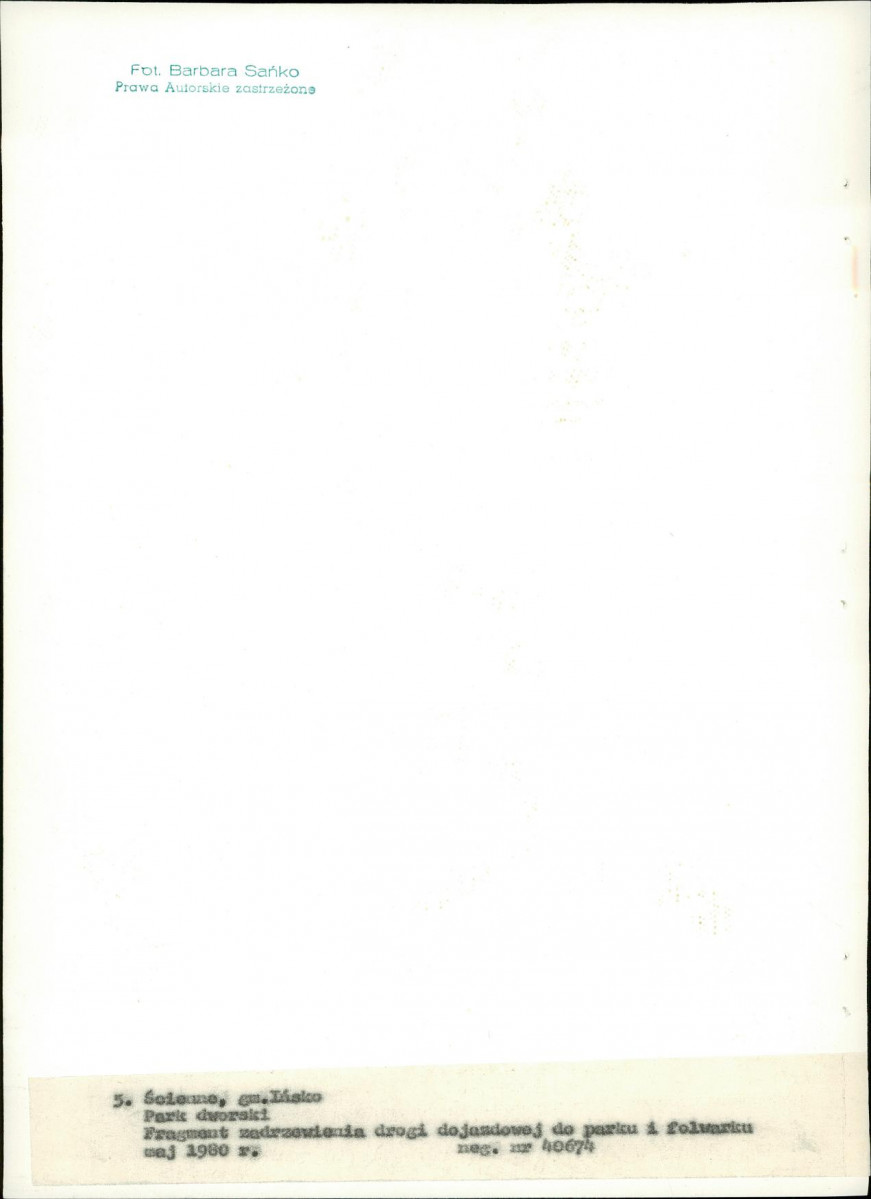 EP - Ewidencja parkowa, skan nr 28