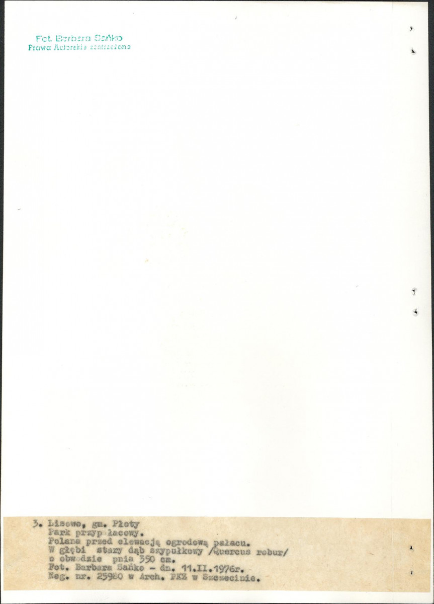 Ewidencja parkowa, skan nr 19