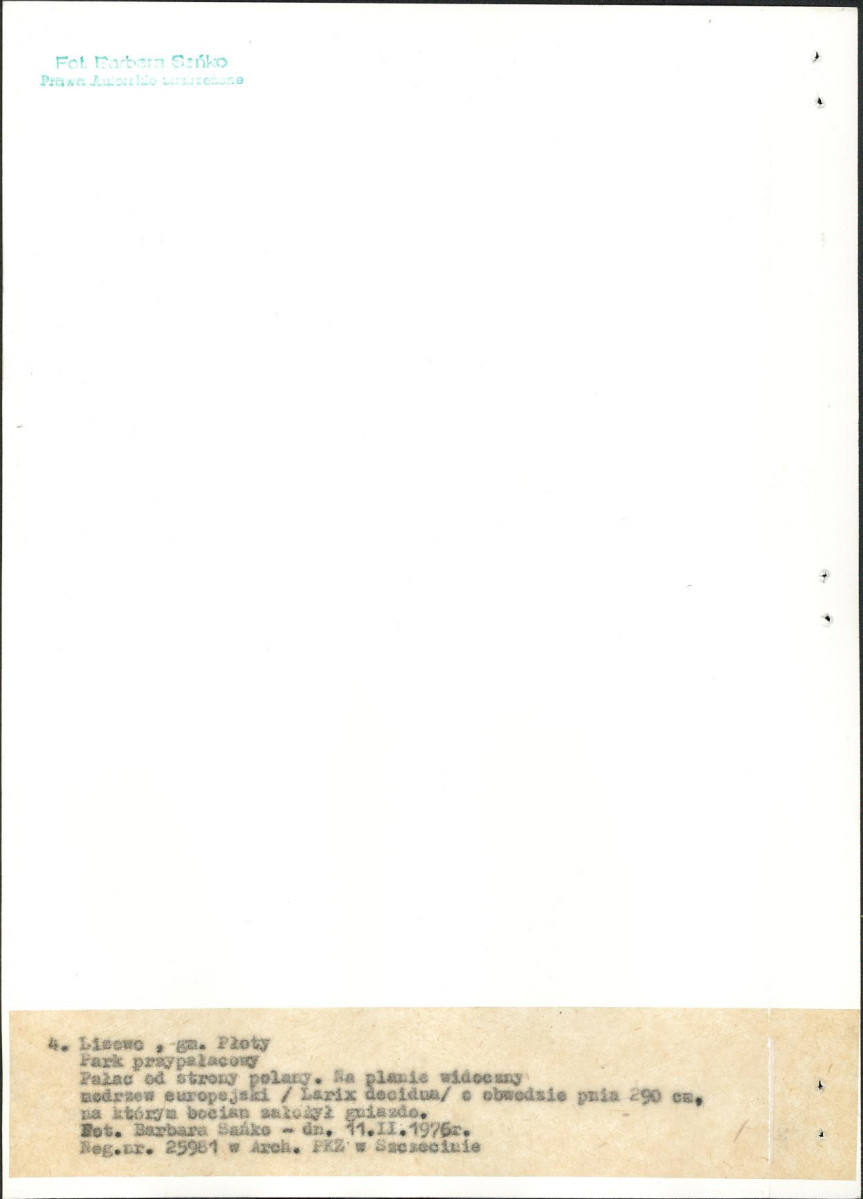 Ewidencja parkowa, skan nr 21