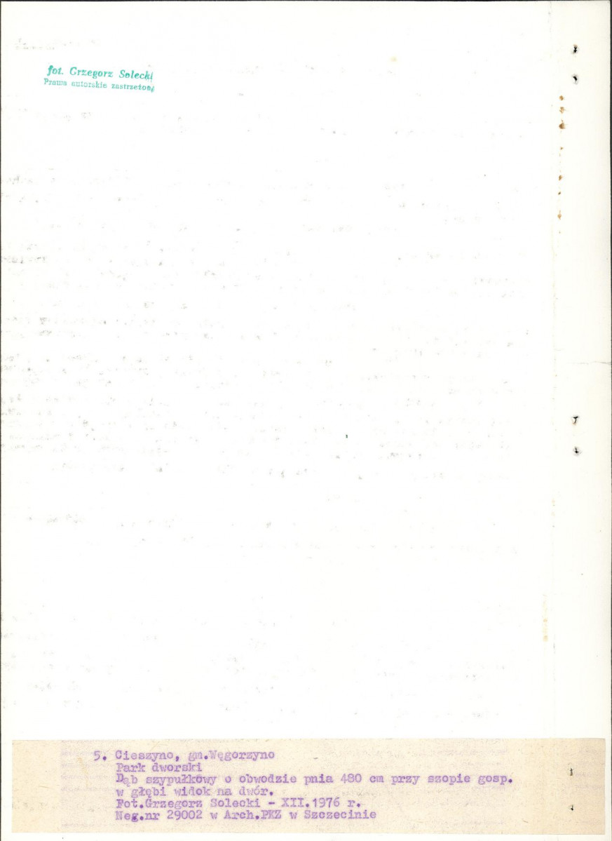 Ewidencja parkowa, skan nr 25