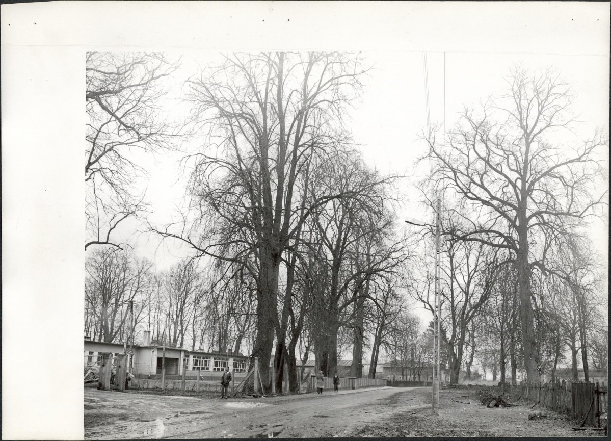 Ewidencja parkowa, skan nr 12