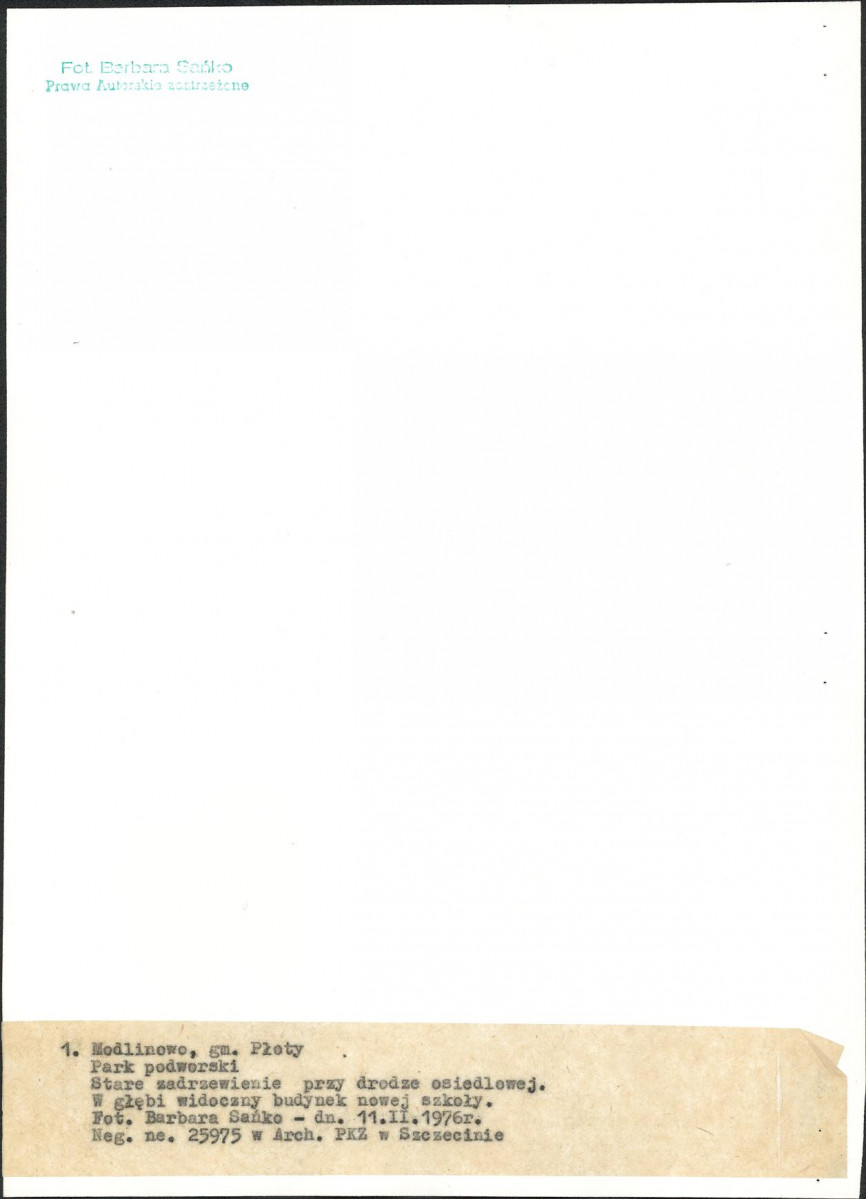 Ewidencja parkowa, skan nr 13
