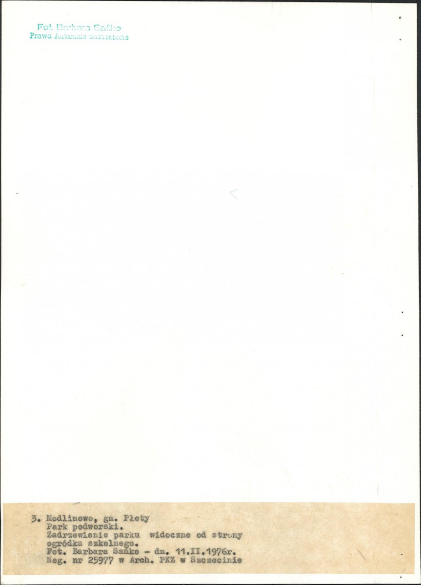 Ewidencja parkowa, skan nr 17