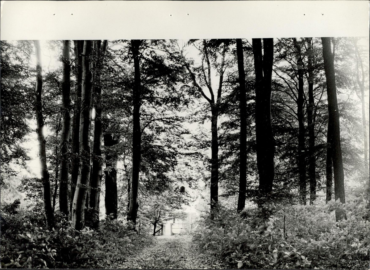 Ewidencja parkowa, skan nr 26