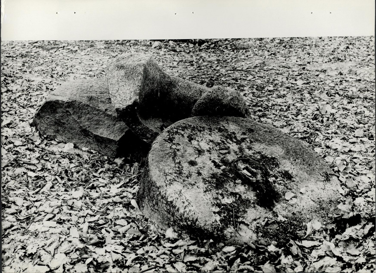 Ewidencja parkowa, skan nr 30