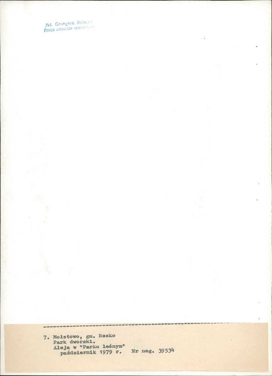 Ewidencja parkowa, skan nr 35