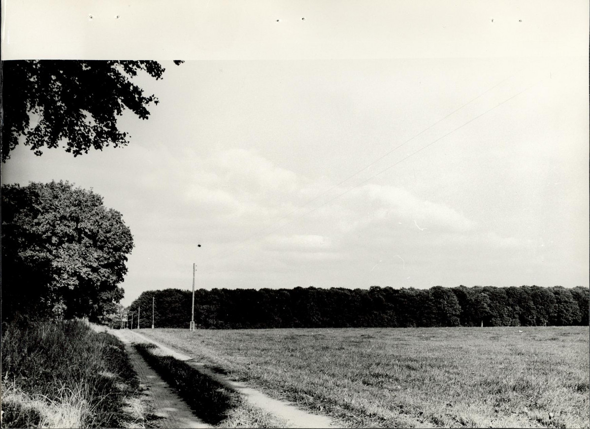 Ewidencja parkowa, skan nr 36