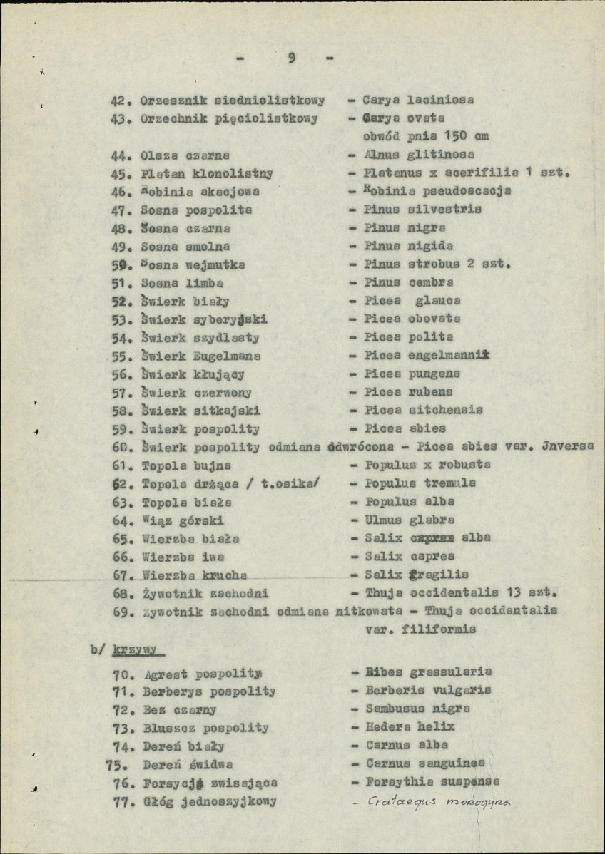 Ewidencja parkowa, skan nr 13