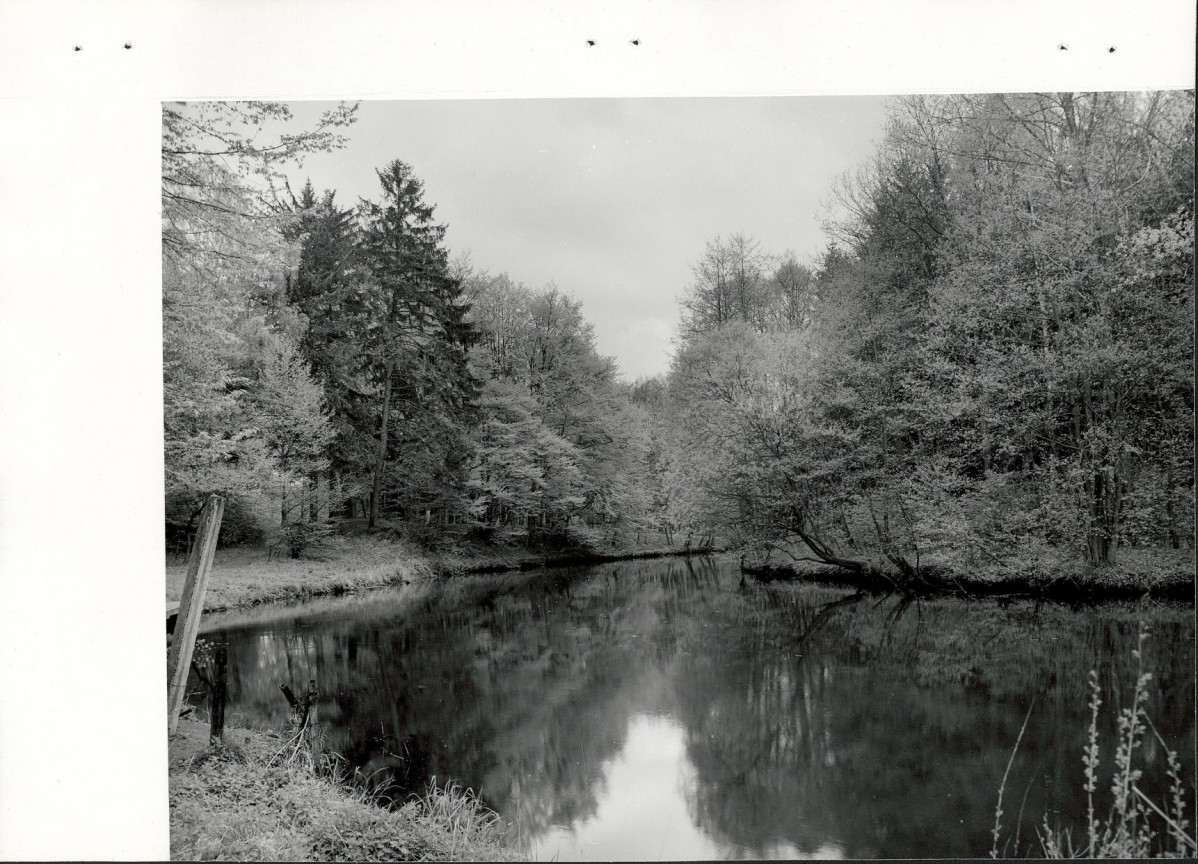 Ewidencja parkowa, skan nr 22