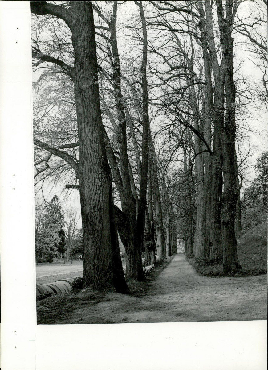 Ewidencja parkowa, skan nr 34