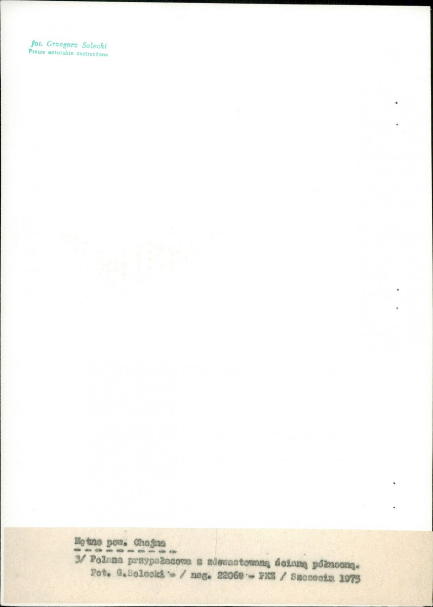 Ewidencja parkowa, skan nr 20