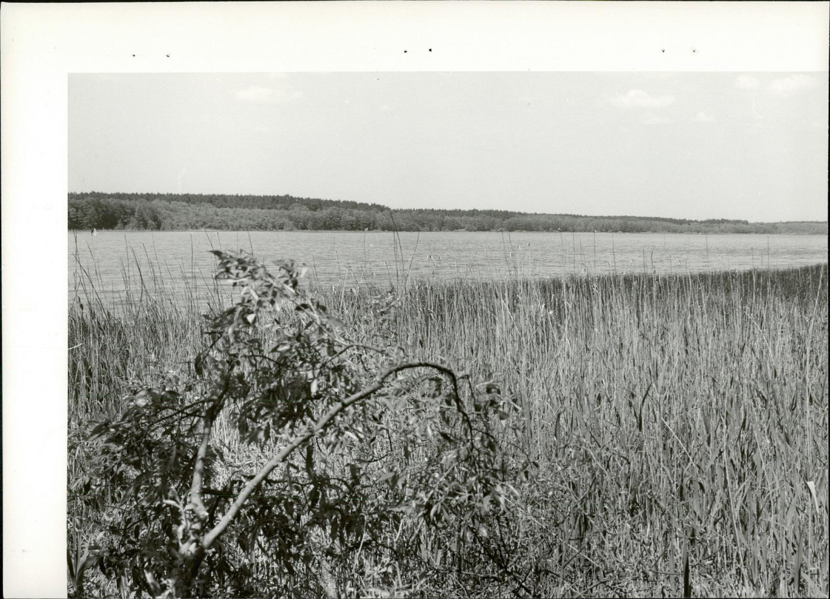 Ewidencja parkowa, skan nr 25