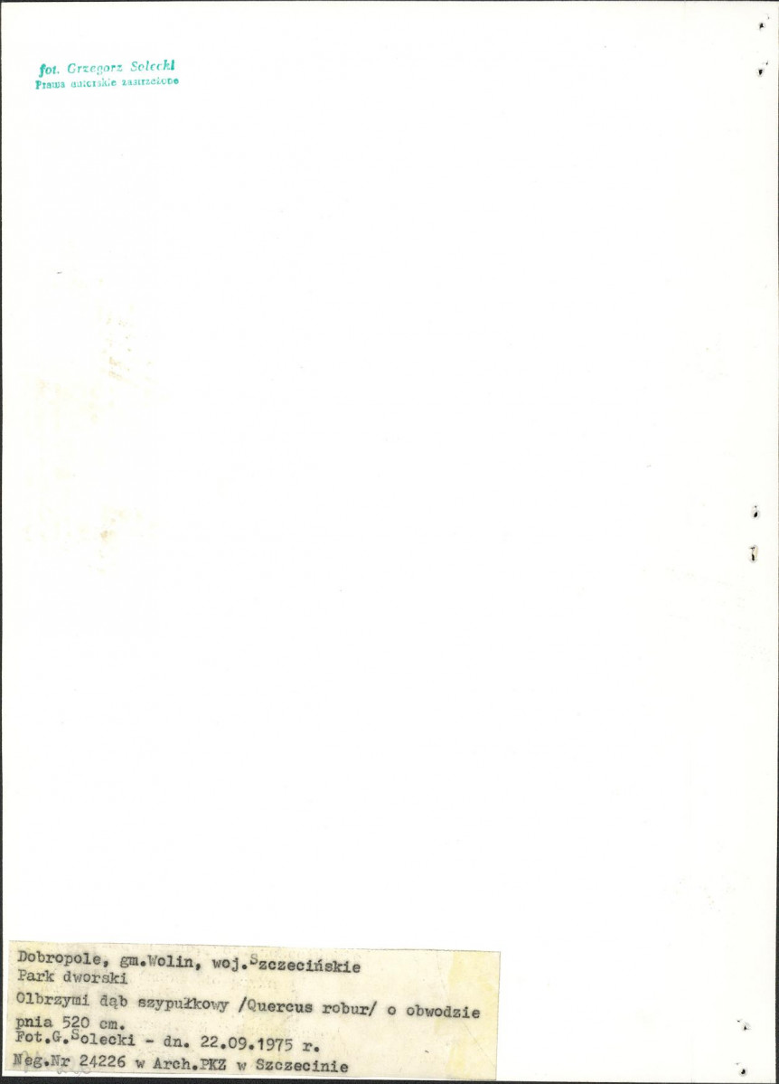 EP - Ewidencja parkowa, skan nr 15
