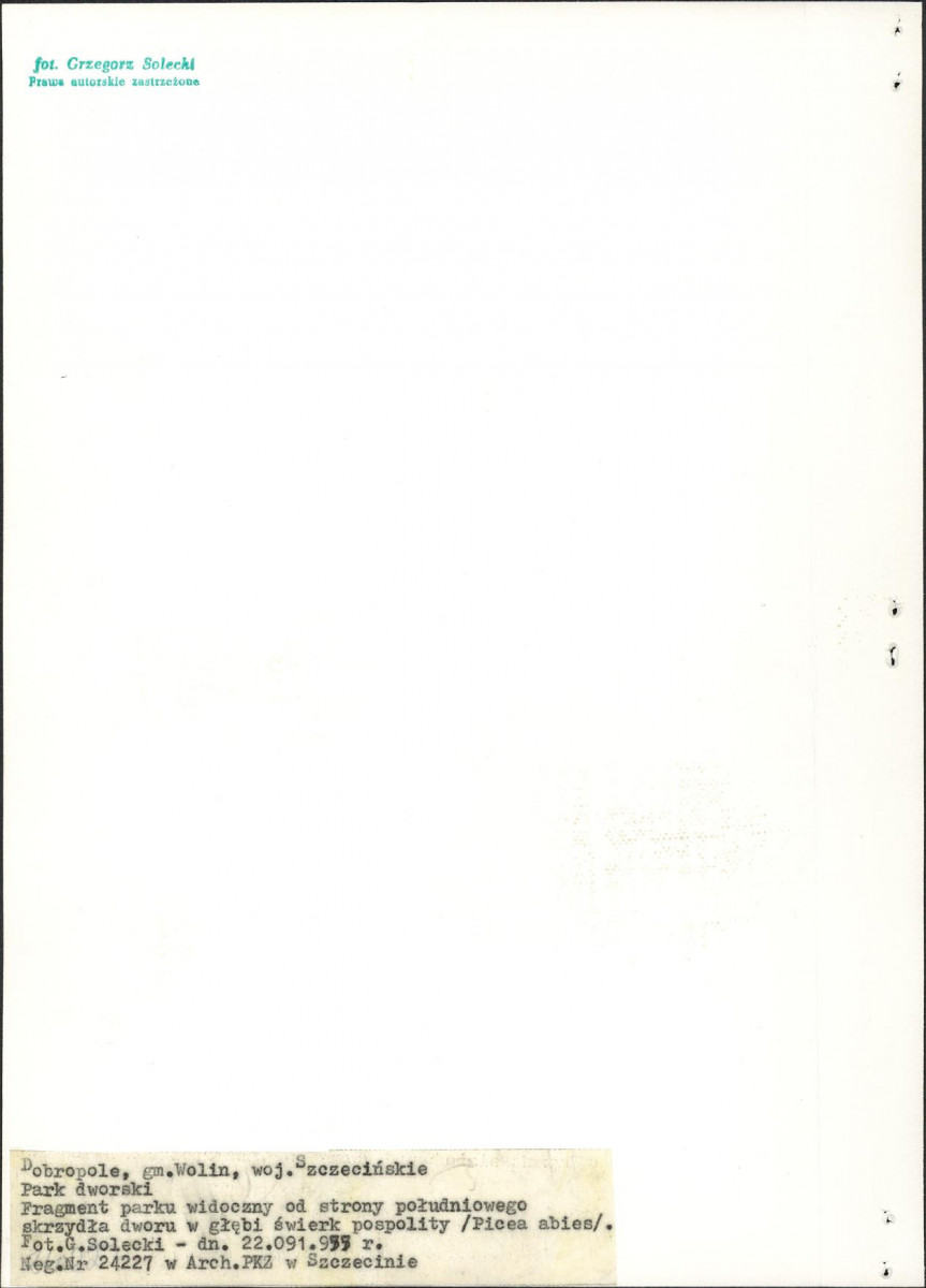 EP - Ewidencja parkowa, skan nr 17