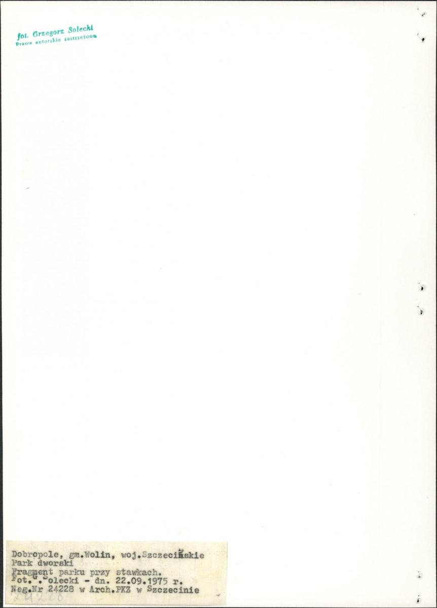 EP - Ewidencja parkowa, skan nr 19