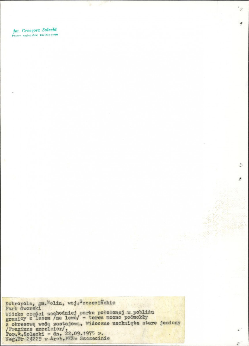 EP - Ewidencja parkowa, skan nr 21