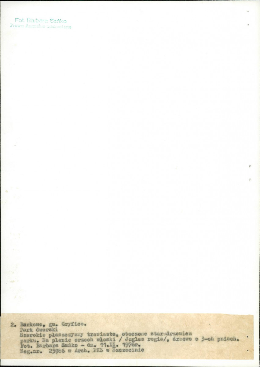 Ewidencja parkowa, skan nr 19