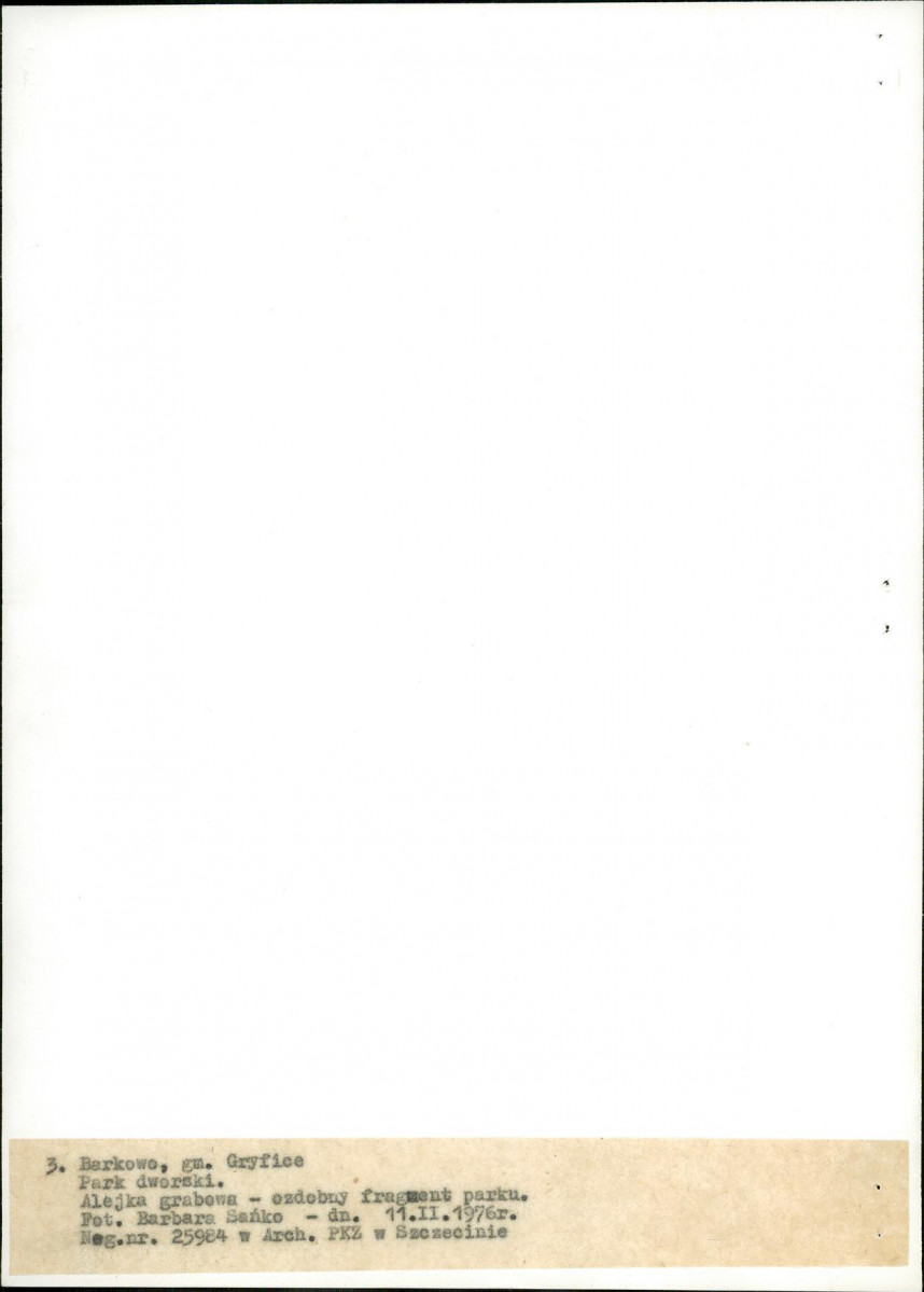 Ewidencja parkowa, skan nr 21