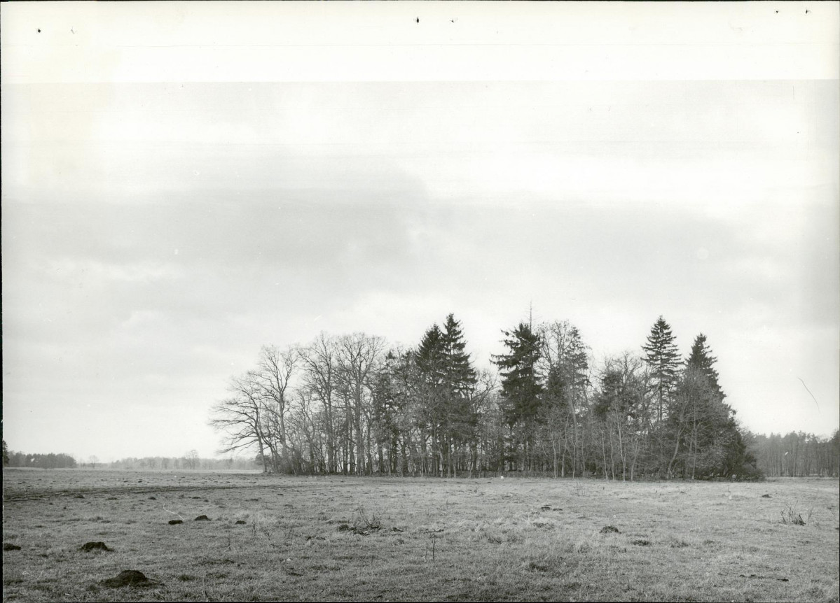 Ewidencja parkowa, skan nr 21