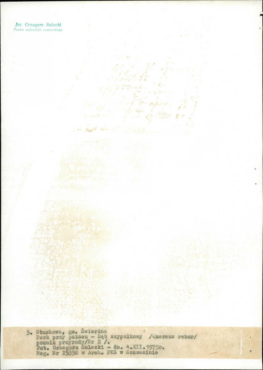Ewidencja parkowa, skan nr 26
