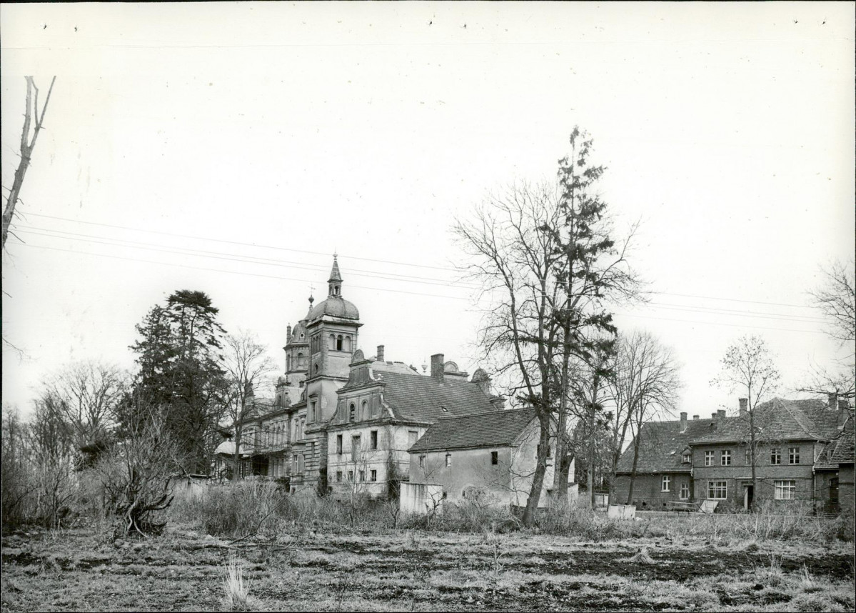 Ewidencja parkowa, skan nr 33